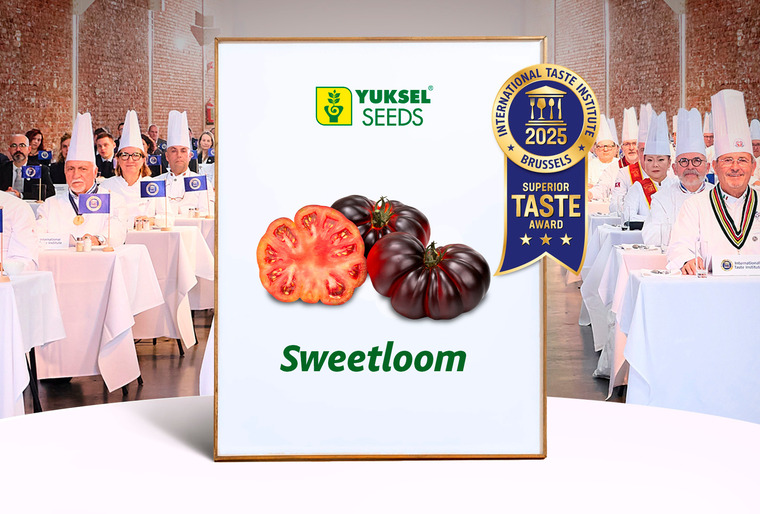 Sweetloom and Princessa honored by the International Taste Institute