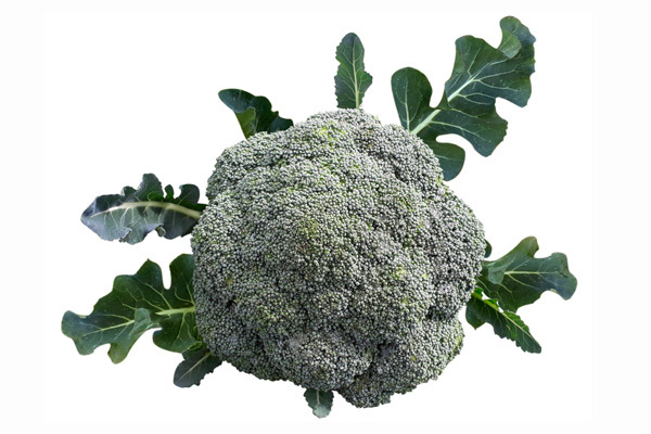 Brocoli 